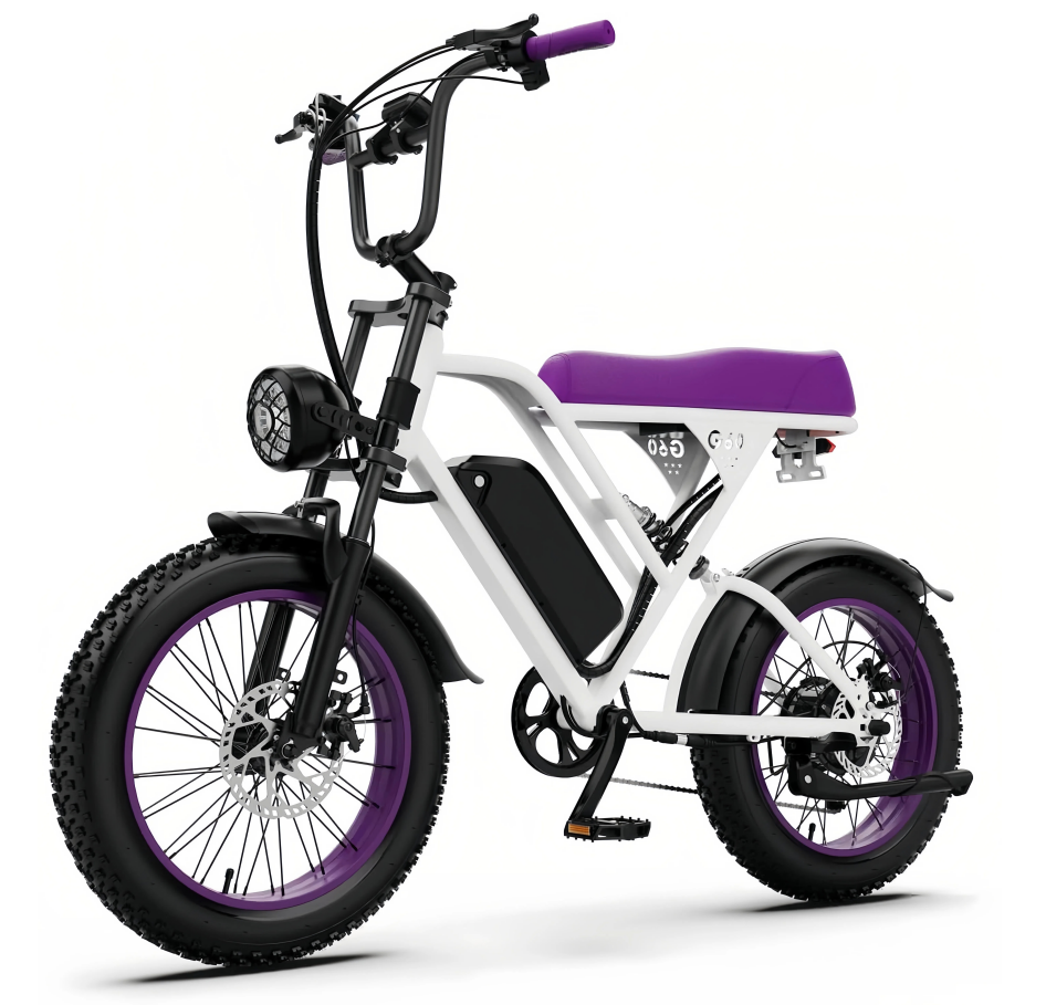 EZ E-Bikes 360 TerraBeast — Fat-Tire All-Terrain Ebike