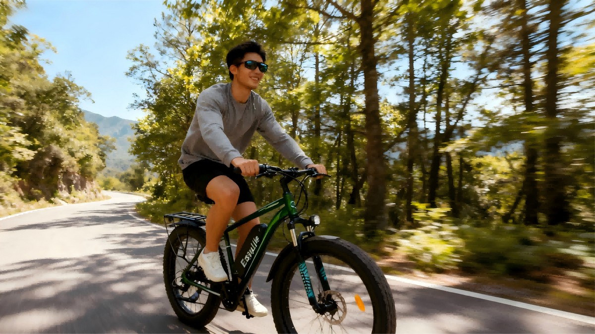 Campus & Commuter Electric Bikes
