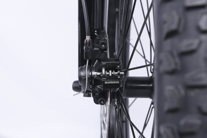 Nakto Santa Monica Cruiser Electric Bike – Comfortable City and Neighborhood Commuter