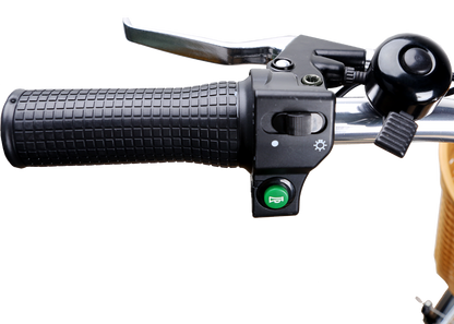 Nakto Camel Men’s City Electric Bike – Reliable Everyday Transportation for Campus & Urban Riding