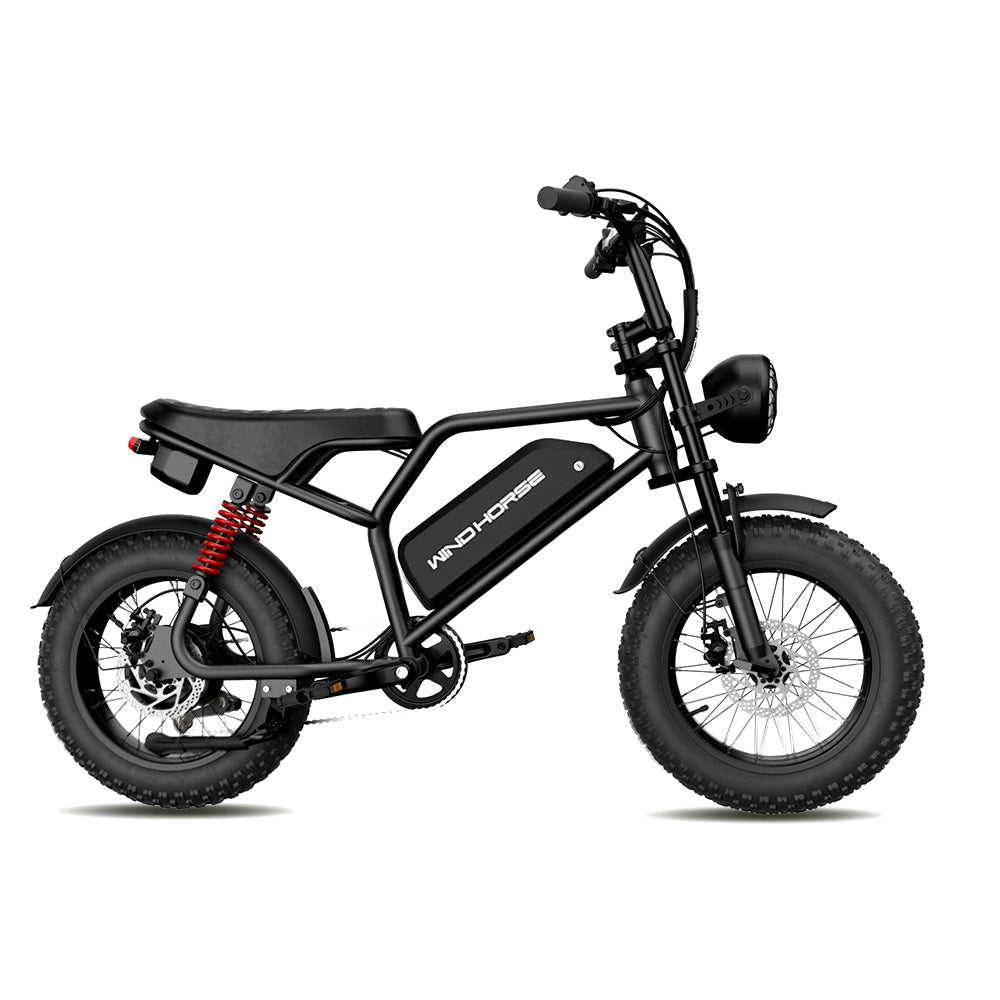 WINDHORSE V8MINI compact electric bike, side view