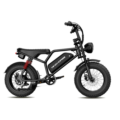 Windhorse V8MINI